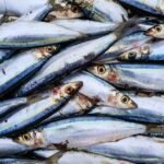 Venetian Sweet and Sour Marinated Sardines