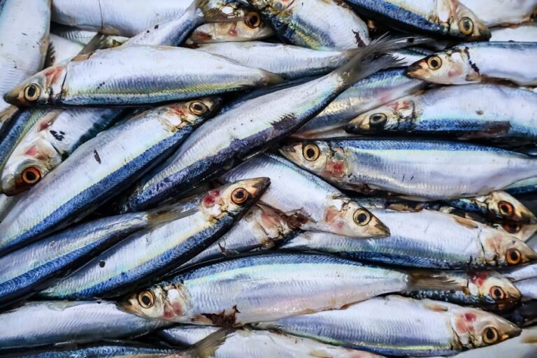 Venetian Sweet and Sour Marinated Sardines