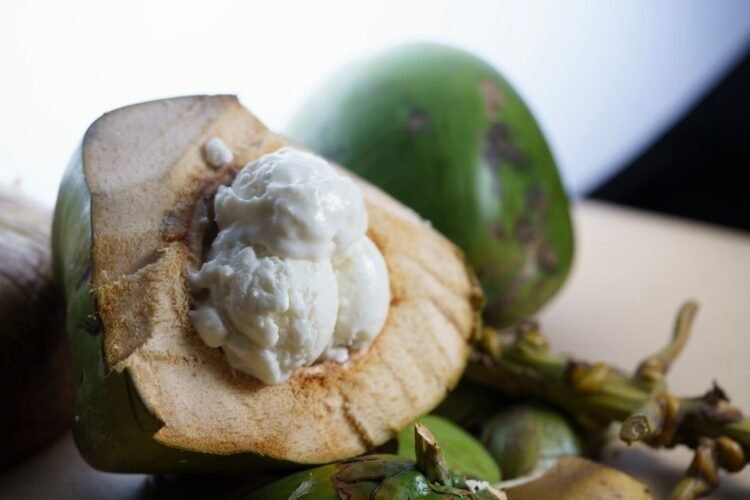 Venezuelan Coconut Cream Dessert