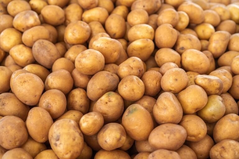 White Potato