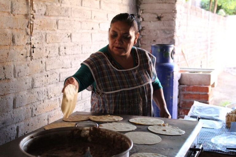 Yucatan Puffed Tortillas with Shredded Turkey and Avocado