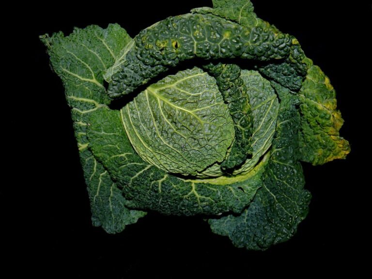 Zambian Peanut Greens Stew