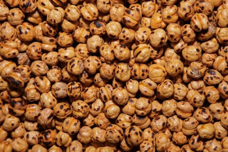 Zambian-Style Roasted Caterpillars