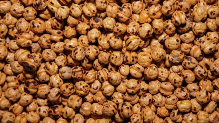 Zambian-Style Roasted Caterpillars