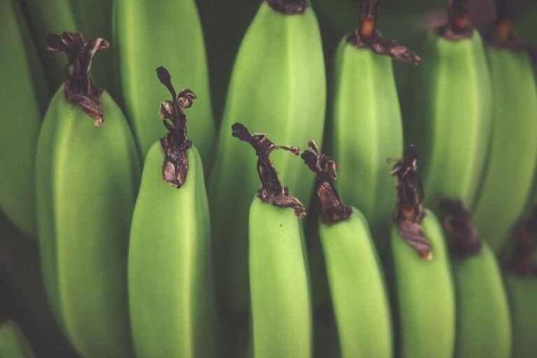 Cameroonian Grilled Sweet Ripe Plantains
