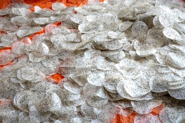 Filipino Flat Rice Cake with Sesame and Coconut
