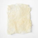 Fresh caul fat