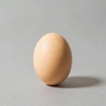 Large chicken egg