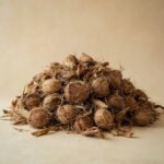 Dry coconut husks