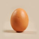 Large egg