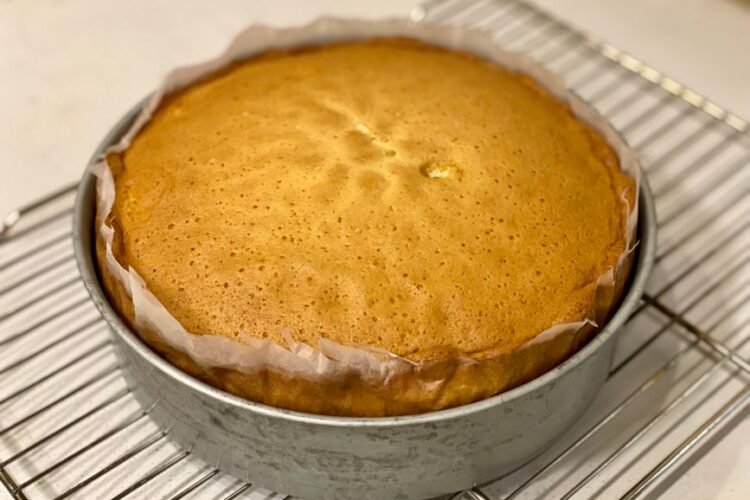 Malaysian Golden Mini Sponge Egg Cakes