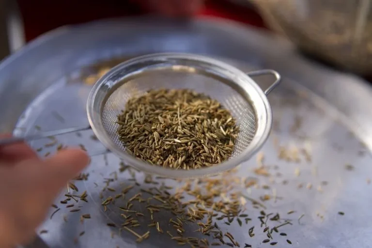 Black Cumin (Nigella Seed)