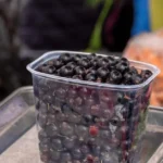 Blackcurrant