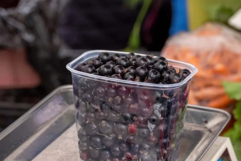 Blackcurrant
