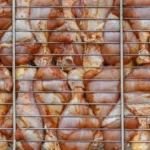 Braai Chicken Marinated Classic