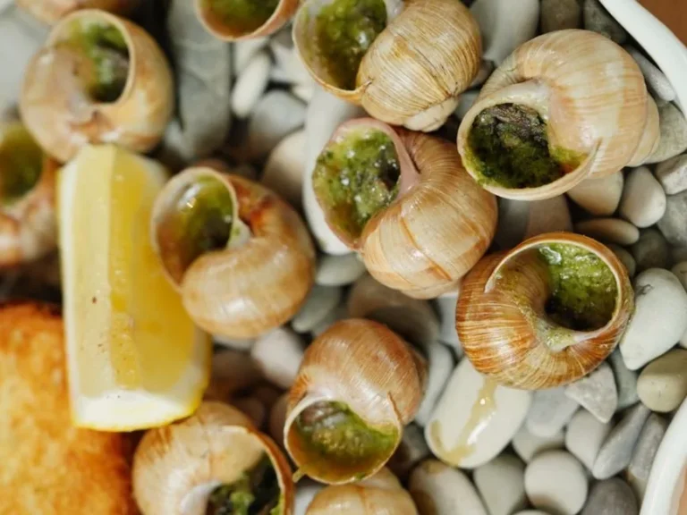 Catalan-Style Snails on the Tin Sheet