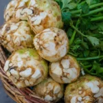 Celery root (Celeriac)