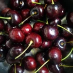 Cherry (Sweet Cherry)