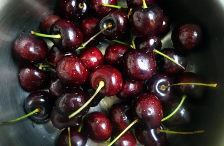 Cherry (Sweet Cherry)