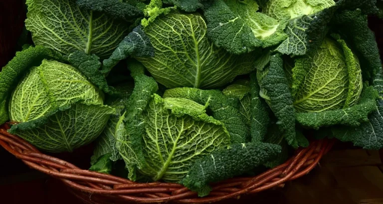 Collard Greens