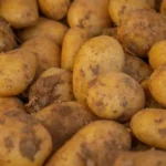 Common Potato