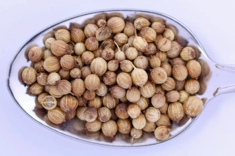 Coriander Seed