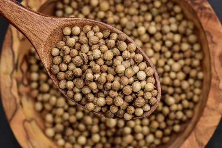Coriander seeds