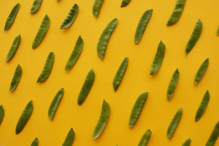 Drumstick (Moringa Pod)