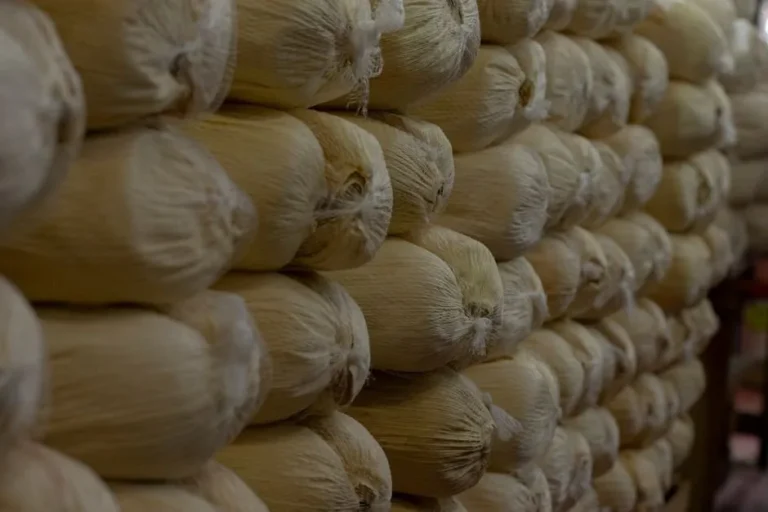 Guatemalan Small Tamales