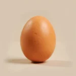 Large egg