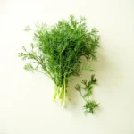 Fresh dill