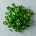 Cilantro leaves