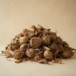 Dry coconut husks