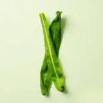 Pandan leaves
