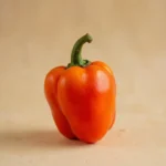 Scotch bonnet pepper