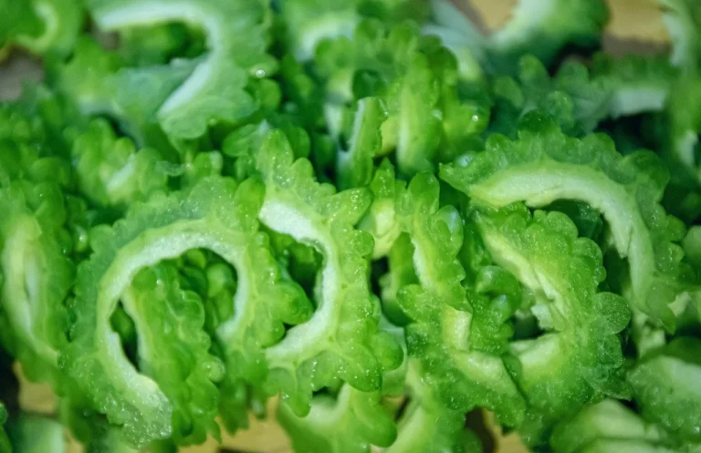 Karela (Bitter Gourd)