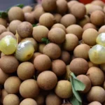Longan