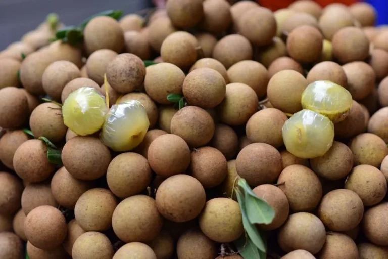 Longan