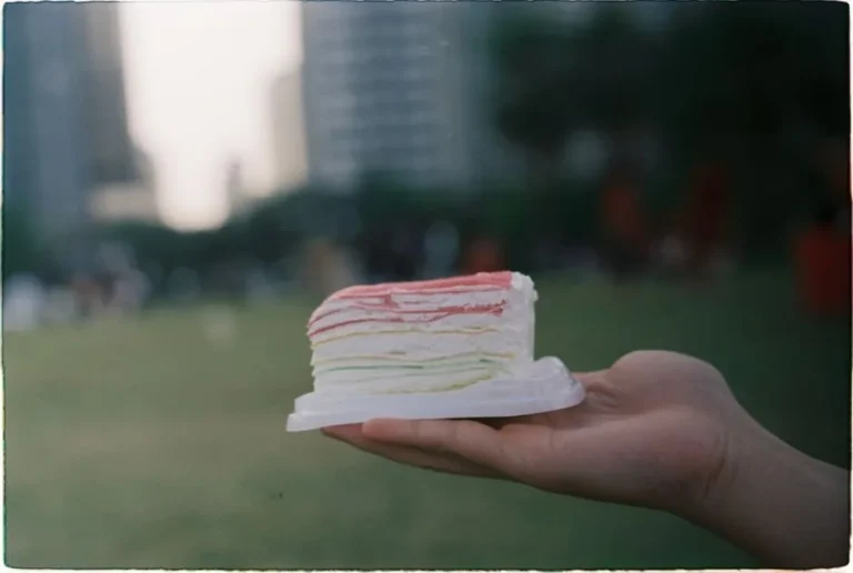 Malaysian Rainbow Steamed Layer Cake