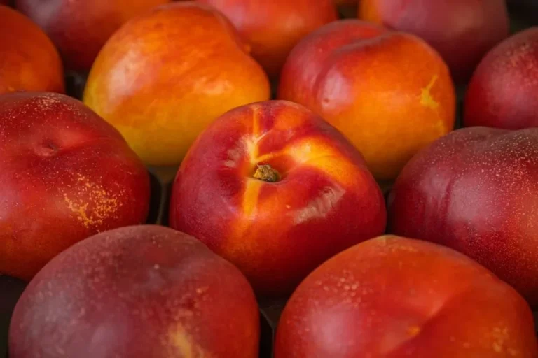 Nectarine
