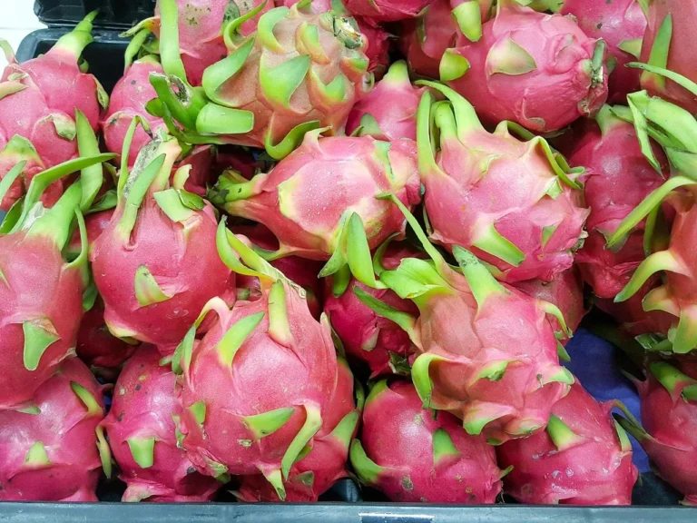 Pitaya