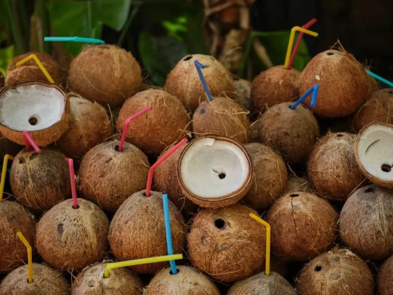 Traditional Kava Drink from Vanuatu