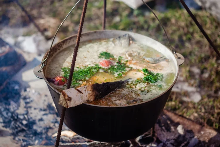 Russian Salmon Fish Soup Classic
