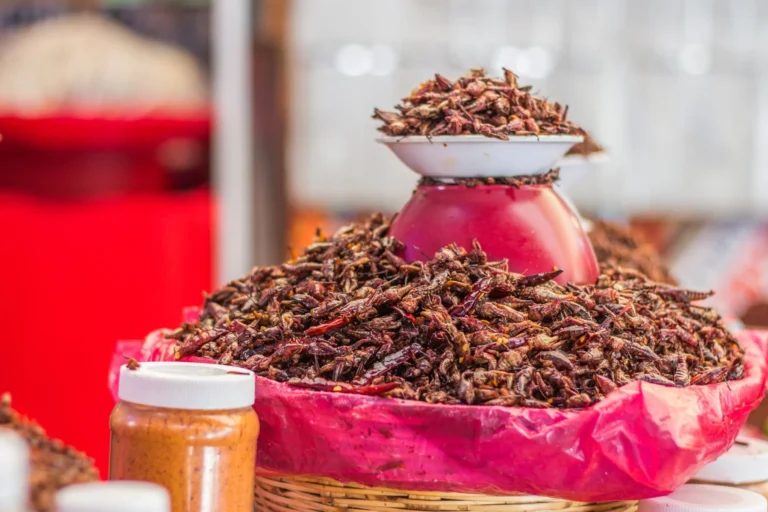 Crispy Fried Grasshoppers