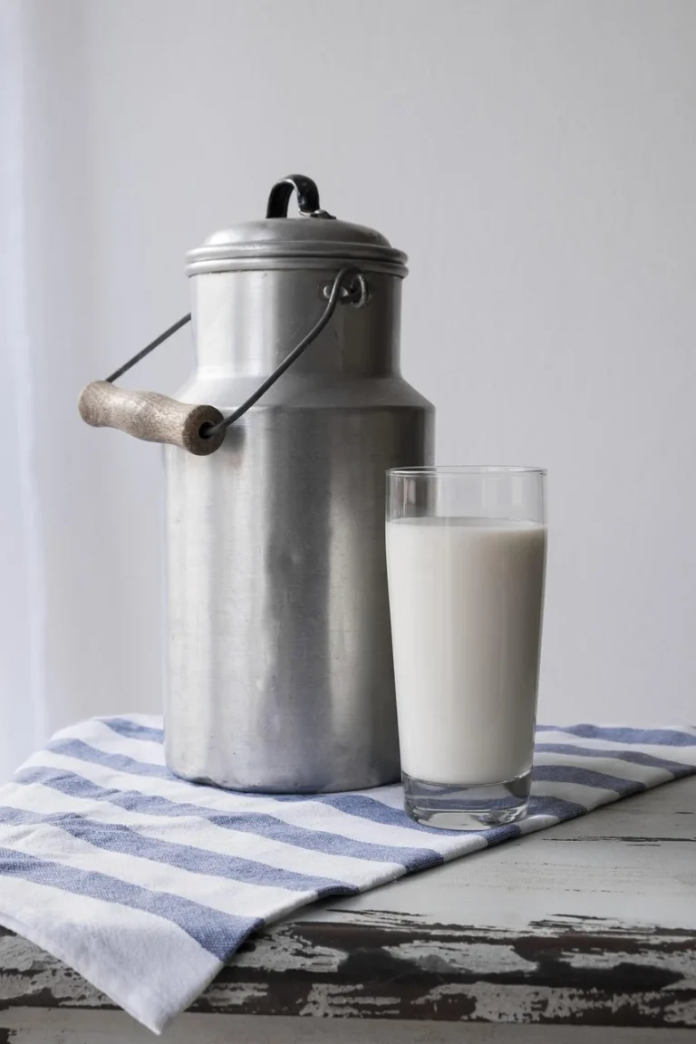 Panamanian Sweet Corn Milk Drink