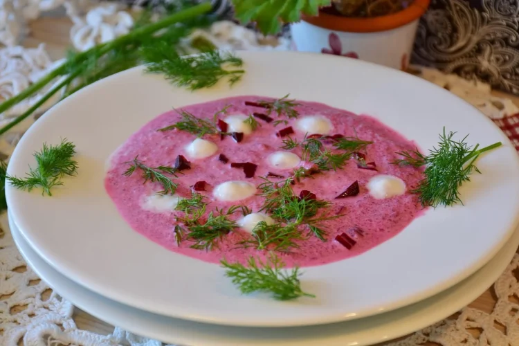 Russian Chilled Vegetable and Beef Soup