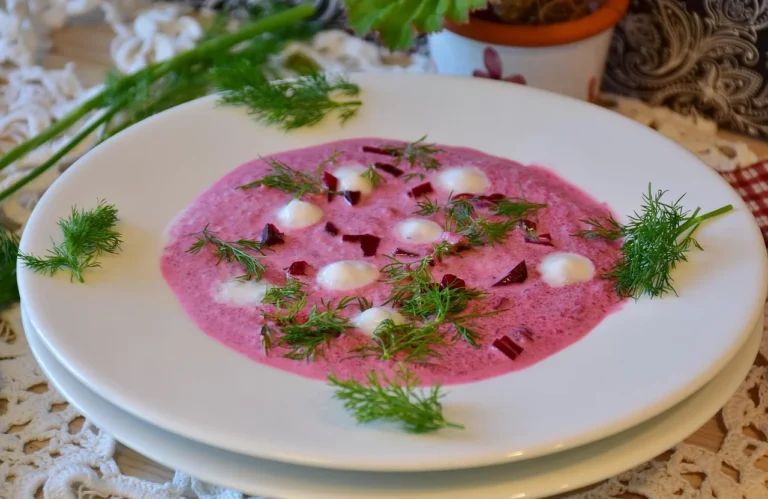 Russian Chilled Vegetable and Beef Soup