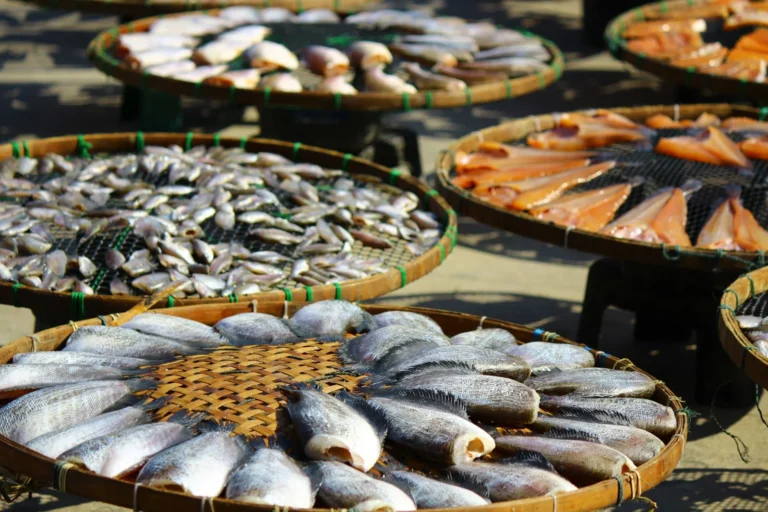 Filipino Vinegar-Marinated and Sun-Dried Milkfish