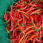 Dried red chilies