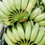 Green plantains